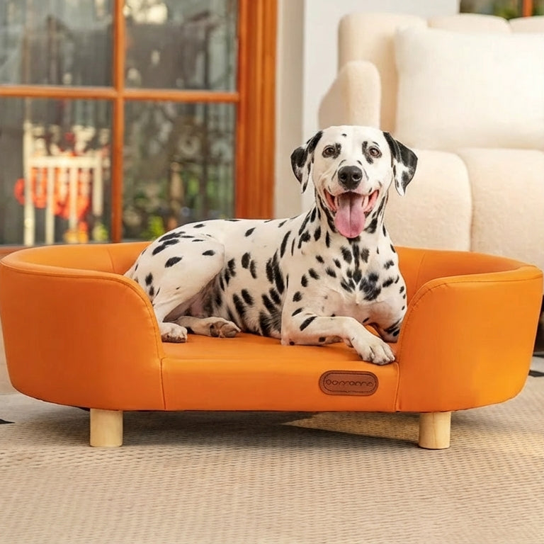 Dalmatian dog on an orange pet bed in a living room.