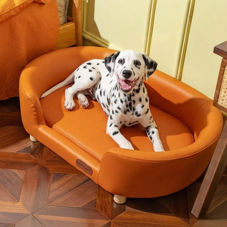Dalmatian dog on an orange pet bed in a room with wooden floor and yellow walls.